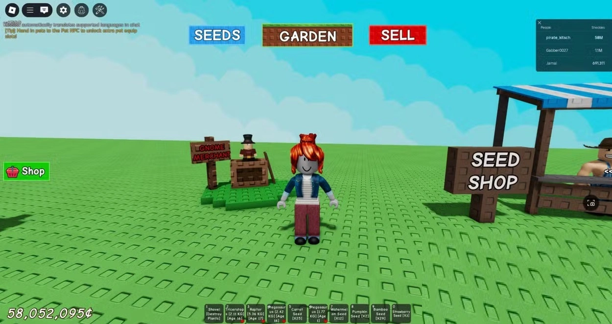 All Travelling Merchant NPCs and their goods Gnome Merchant