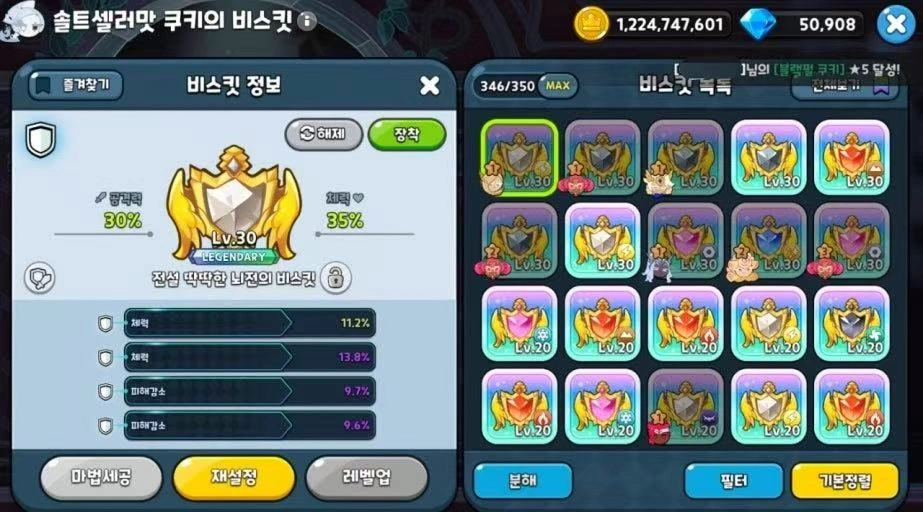 솔트 셀러 쿠키를 위한 최고의 비스킷 세트업