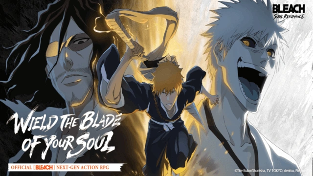 BLEACH: Soul Resonance