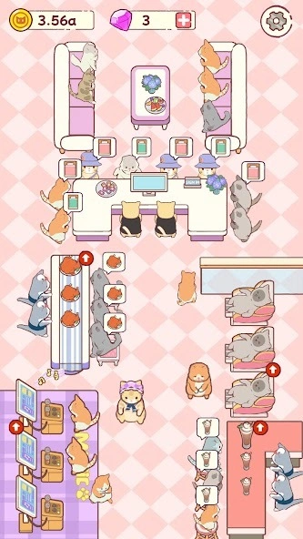 Cozy Cat Hotel Cozy Cat Hotel beginner guide