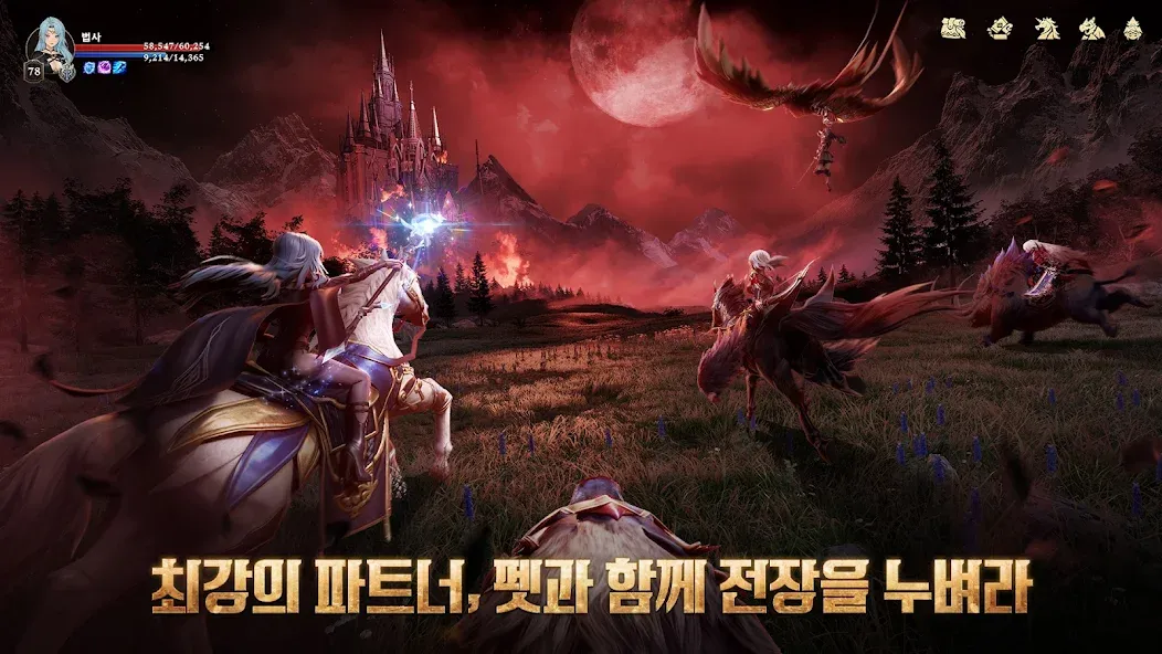 그레이 사가 쿠폰 코드
