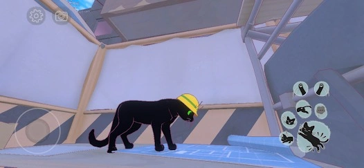 Gatito en la Gran Ciudad gu&iacute;a para principiantes
